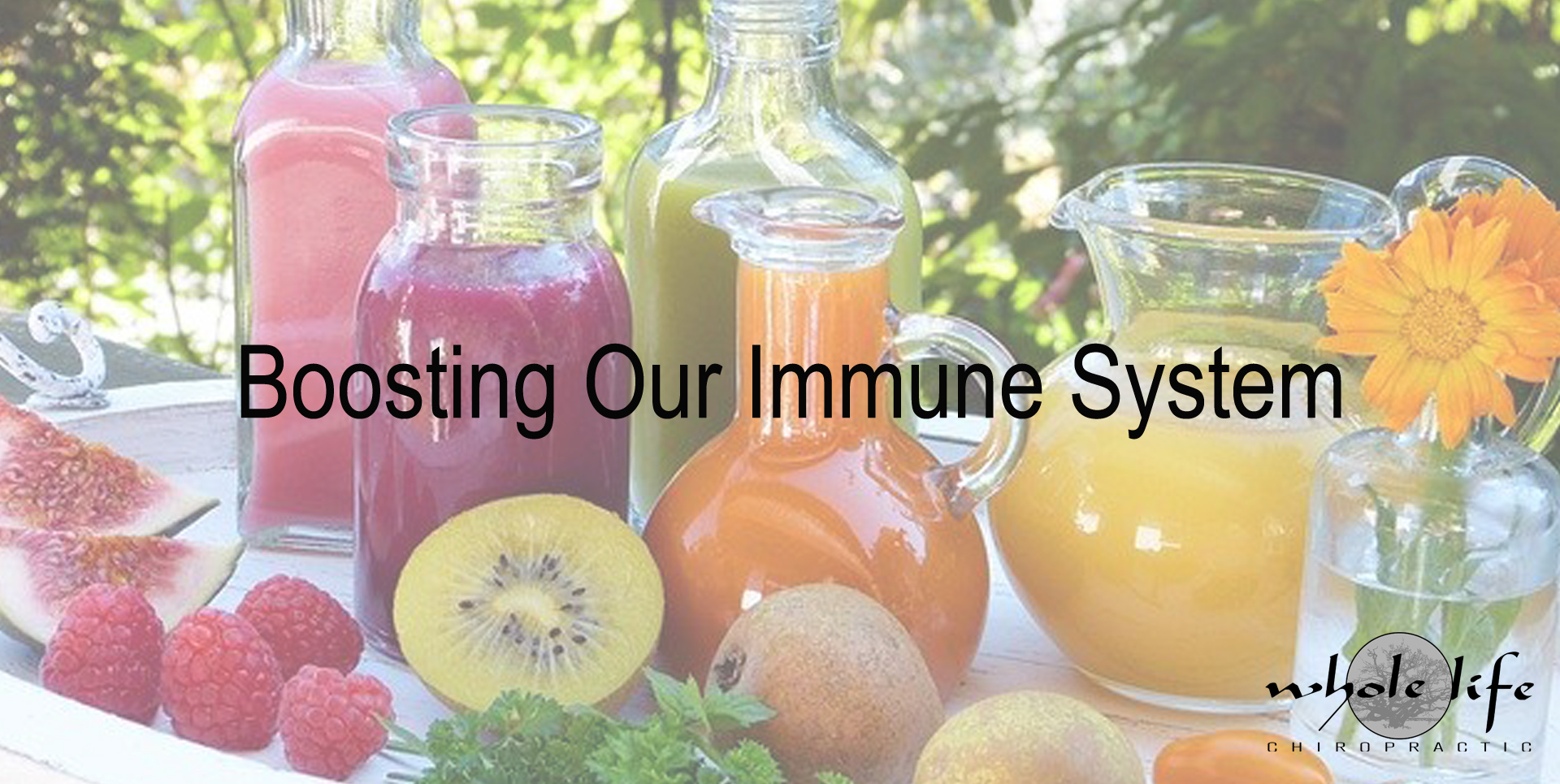 Whole Life Chiropractic April 2020 Newsletter Boosting Our Immune System